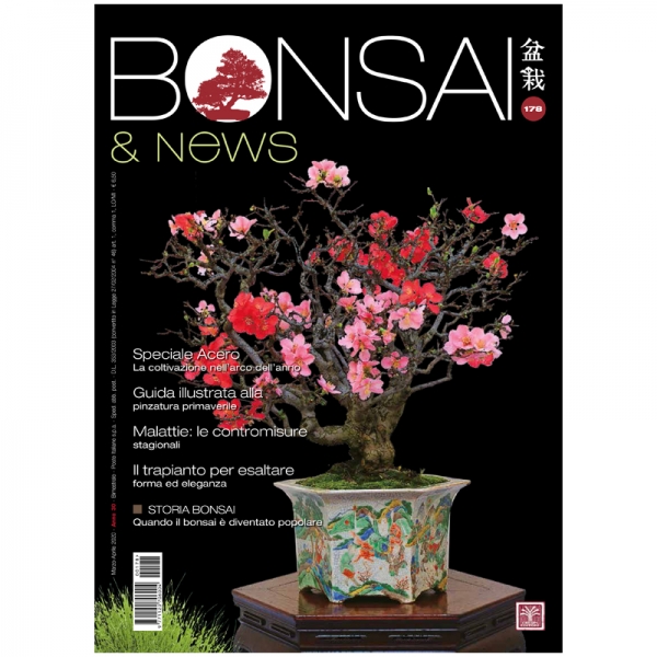 BONSAI & news 178 - Marzo-Aprile 2020