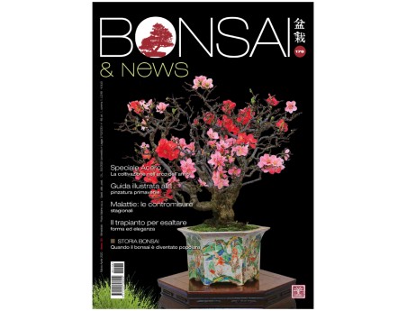 BONSAI & news 178 - March-April 2020