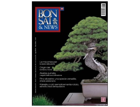 BONSAI & news n. 127 - Settembre-Ottobre 2011