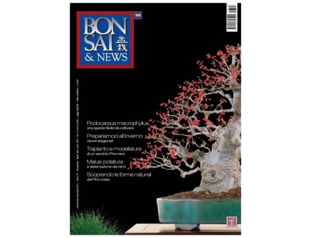BONSAI & news n. 128 - Novembre-Dicembre 2011