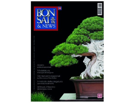 BONSAI & news n. 133 - Settembre-Ottobre 2012
