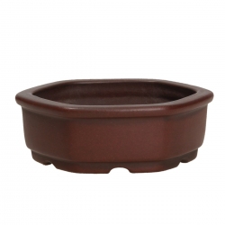 Vaso Shuiming 9,5 cm