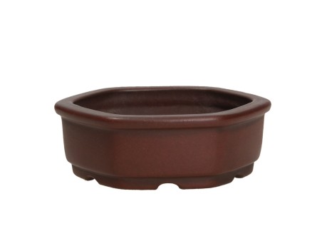 Vaso Shuiming 9,5 cm