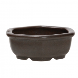 Vaso Shuiming 11,5 cm