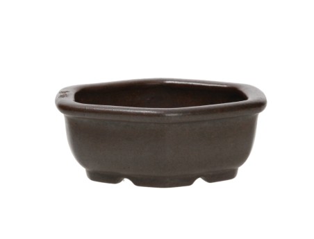 Pot Shuiming 11,5 cm