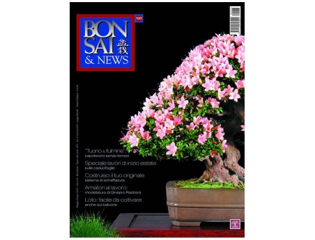 BONSAI & news n. 137 - Maggio-Giugno 2013