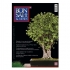 BONSAI & news n. 138 - Luglio-Agosto 2013