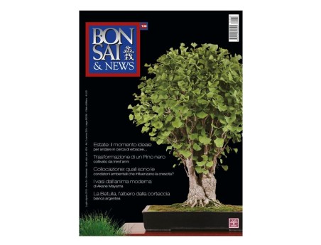 BONSAI & news n. 138 - Luglio-Agosto 2013