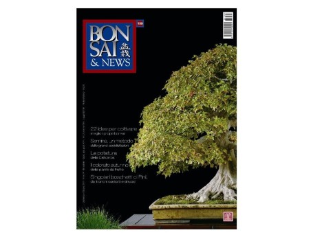BONSAI & news n. 139 - Settembre-Ottobre 2013