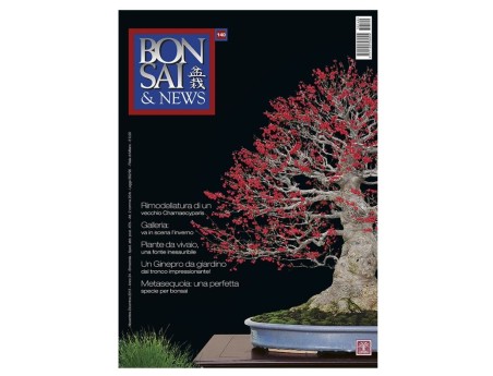 BONSAI & news n. 140 - Novembre-Dicembre 2013