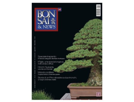 BONSAI & news n. 141 - Gennaio-Febbraio 2014