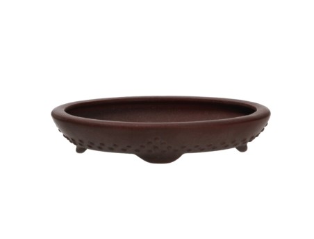 Pot Shuiming 12,3 cm