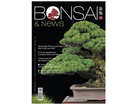 BONSAI & news n. 147 - Gennaio-Febbraio 2015