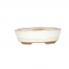 Pot 21 cm