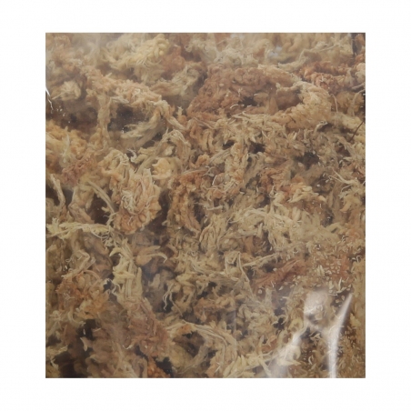 Sphagnum - 1,6 L