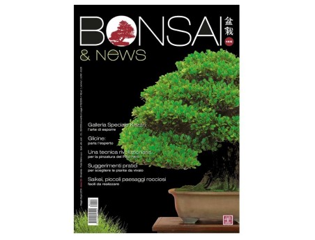BONSAI & news n. 155 - Maggio-Giugno 2016