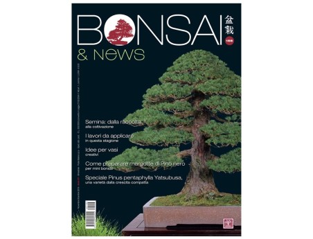 BONSAI & news n. 158 - Novembre-Dicembre 2016