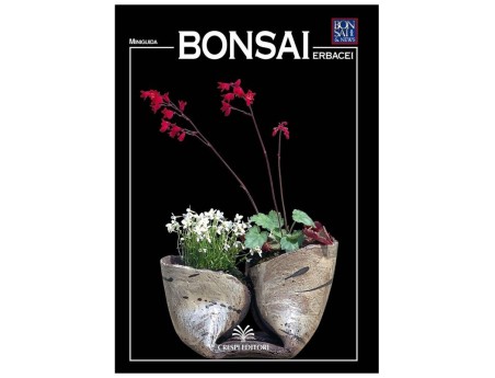 Bonsai erbacei - Miniguida BONSAI & news