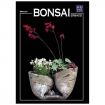 Bonsai erbacei - Miniguida BONSAI & news