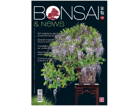 BONSAI & news 179 - May-June 2020