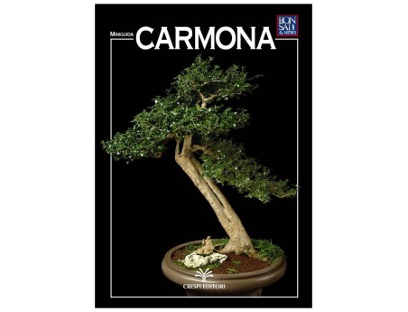 Carmona - Miniguida BONSAI & news