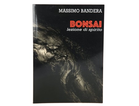 bonsai-lezione-di-spirito-di-massimo-bandera-libro