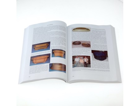 bonsai-lezione-di-spirito-di-massimo-bandera-libro