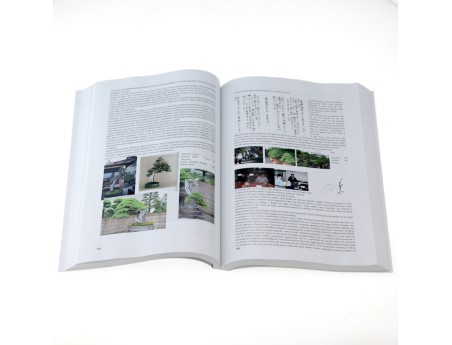 bonsai-lezione-di-spirito-di-massimo-bandera-libro