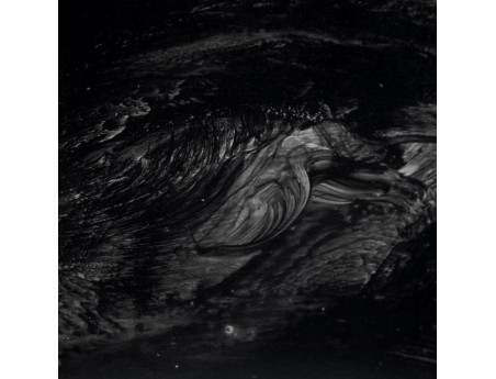 bonsai-lezione-di-spirito-di-massimo-bandera-libro