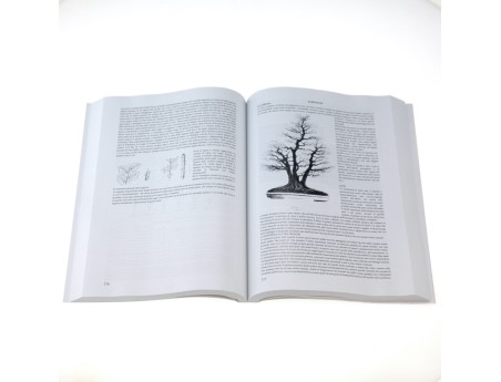 bonsai-lezione-di-spirito-di-massimo-bandera-libro