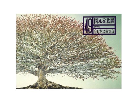 Catalogo Kokufu Bonsai Exhibition 49 - 1975 Vintage Edition