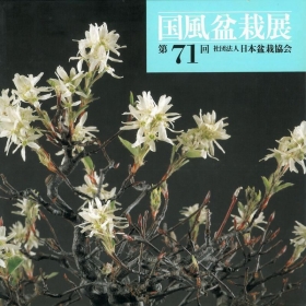 Catalogo Kokufu Bonsai Exhibition 71 - 1997 - Vintage Edition