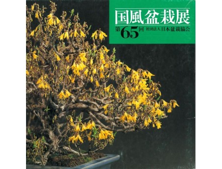 Catalogo Kokufu Bonsai Exhibition n° 65 - Anno 1991 Vintage Edition