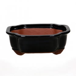 Vaso 21 cm