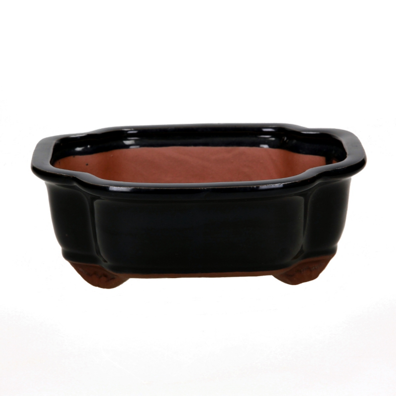 Vaso 21 cm