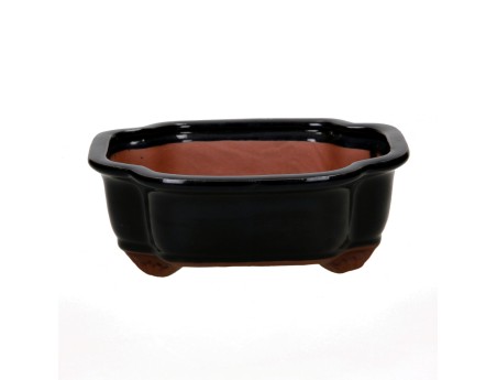 Pot 21 cm