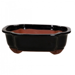 Vaso 26 cm