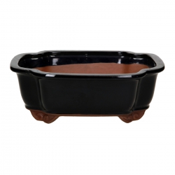 Pot 31 cm