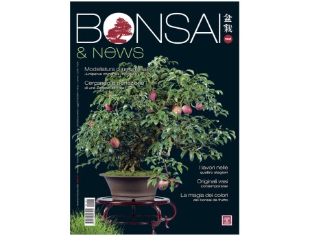 BONSAI & news 182 - November-December 2020