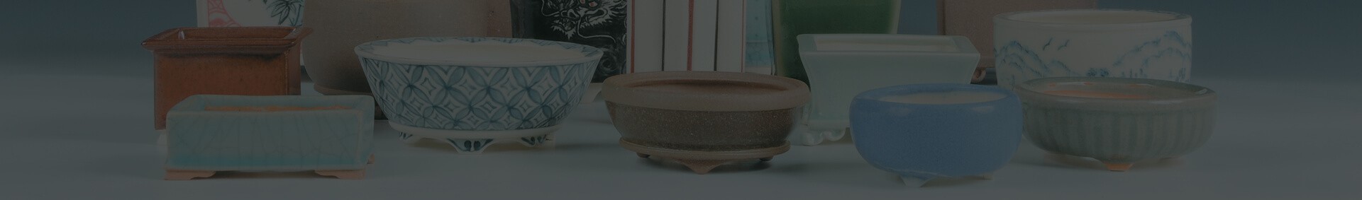 Bonsai-Töpfe und -Untertassen