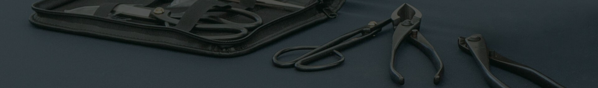 Outils pour bonsaï pour mantenir vos bonsaï.