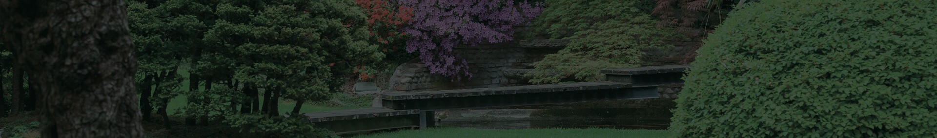 Jardines japoneses
