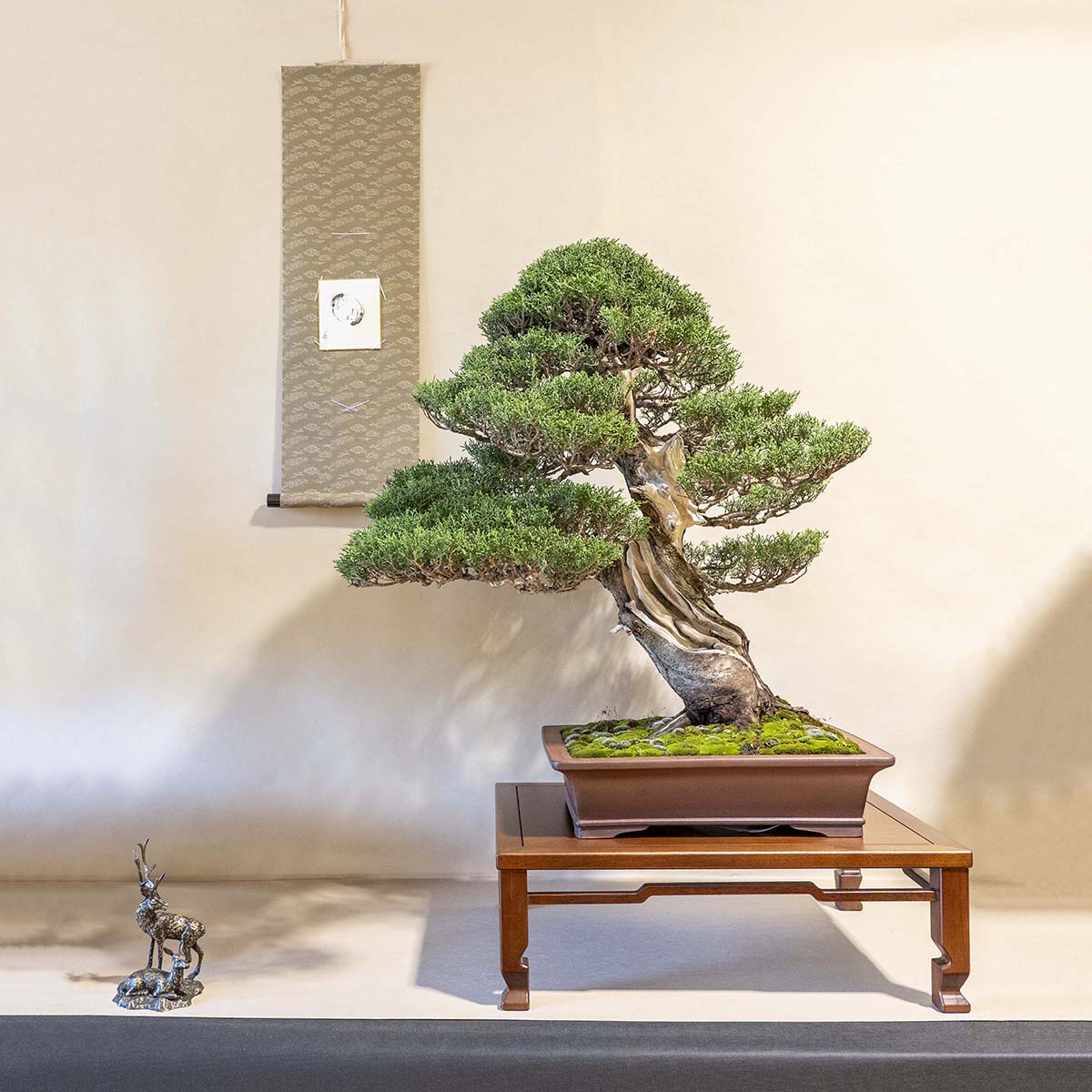 bonsai schale keramik gro Bonsai Schale aus Keramik in Marineblau