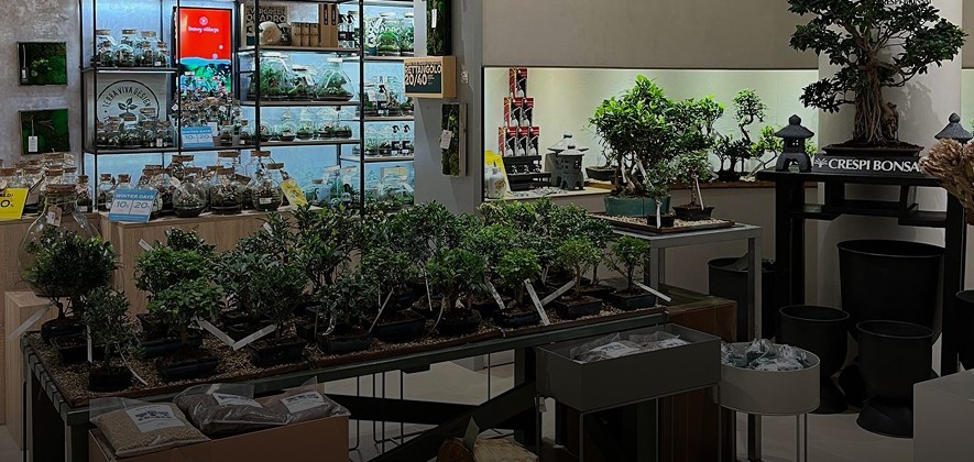 Rinascente Milano - Corner Crespi Bonsai