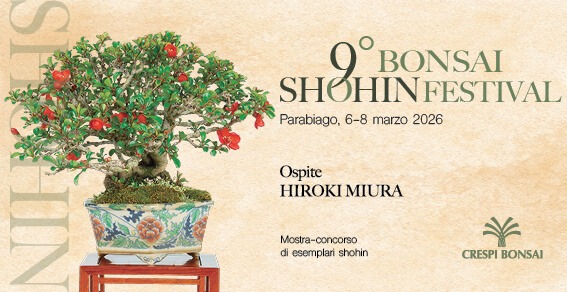 Bonsai Shohin Festival 2026