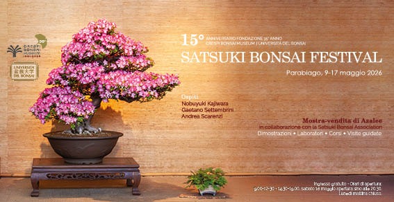 Satsuki Bonsai Festival 2026
