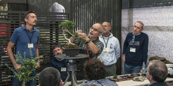 Università del Bonsai 