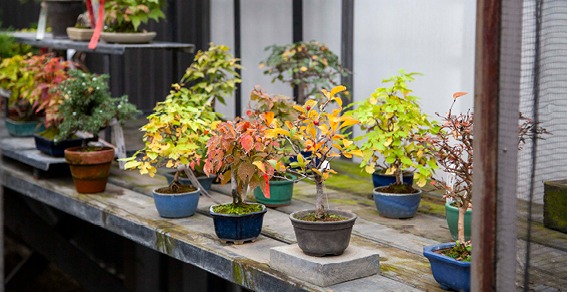 Openingstijden 1 november 2025